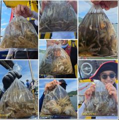 다래호 ❤️씨알좋은 쭈꾸미 조황입니다 ❤️내일도 출조확정 자리널…