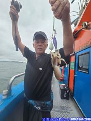 오늘의 조황 - [영동2호] 9월 1일 쭈꾸미 갑오징어 굿~조황 - 영흥도 배낚시 영동2호낚시