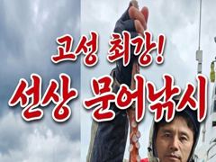 무늬팁런 116수 몬스터1.4 1.1과 마릿수