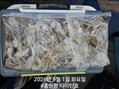 [홍원항타이탄호] 9월1일 (화) 쭈꾸미 금어기 해제 첫날 신고식!!!