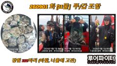 9/1 화 [11물] 쭈꾸미/갑오징어 조항 입니다.