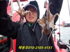 26년9월1일 조황
