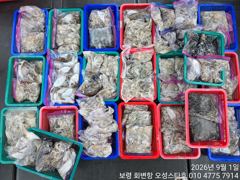 09,01 오성스타호 주꾸미 조황~