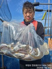 오늘의조황 - 7월25일 3분 모시고 백조기 조황 입니다. - 무창포 껀모호,배낚시,바다낚시