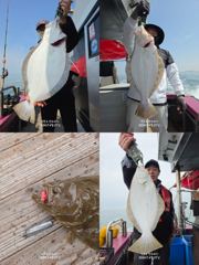 오늘의조황 - 4월 27일 대광어(12인출조)887777 - 영흥도 만수피싱 [구-만수배낚시-만수1호]