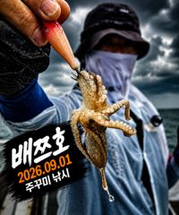 오늘의조황 - [배쯔호] 9월1일 주꾸미낚시 - 마검포 팀바이트호,선상낚시 전문