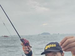 9월2일오천항신조선오디세이호쭈.갑조황입니다