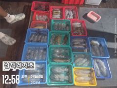 [팁런] ''핫' 무늬,일인,두자리,마리수,(오늘16시,소수인원.출항확정)