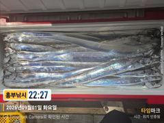 초대박갈치드디어  터졌다  오늘 바리바리 오세요
