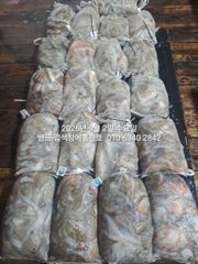 9월1일 초대박 조황 17명조사님들 ..장원33수 군산 홈런호 야간 문어 마무리 조황 입니다. 첫스타트 엄청난 조과로 앞으로 문어출조가  설레입니다.오늘 하루 홈런호에 승선하신 조사님들 수고 하셨습니다.