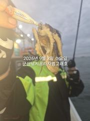 9/2일, 재미있는 쭈꾸미낚시~오늘 잘 나오고 있어요~ ~실시간~군산 범고래호