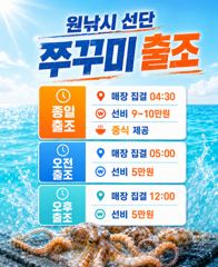 레인보우호 쭈꾸미 종일 실시간(2일)-내일종일자리있음