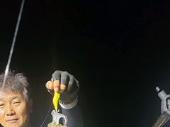 (南)남해조황 - 무늬팁런 씨알급들이 달라듭니다~