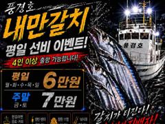 <내만갈치>선비 이벤트! 3지급들 피딩피딩 최신굳조황