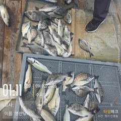 [고성] 병산  감성돔35외 마리수 선상배 및 선외기 흘림조황~~