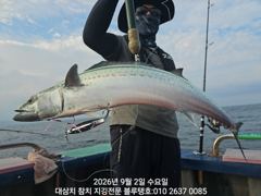 2/수욜ㅡ덩치급 대삼치들, 바이트 좋습니다!