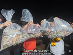 문어] 목요일 야간예약가능~ 1.2k 1.3k 굿~ 자리여유