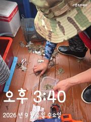 주꾸미출조