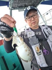 9/2일, 군산 쭈꾸미~갑돌이는 보너스~오늘 조황~내일도 갑니다~~군산 범고래호