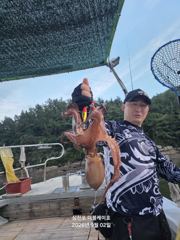 [먹물조황]삼천포주간,야간문어!주간주꾸미!매일출조!