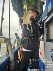 9월 2일 주꾸미 조황입니다 ^^