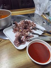ㅣ일 쭈꾸미 조황