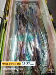 9월 2일 조황 모음 입니다