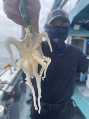 9월2일 조황
