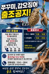 쭈꾸미낚시 조황!! 오늘도 미친듯이 잘나오는 쭈꾸미들!! 세자리수는 이제 기본!! 몇백이냐가 문제!!