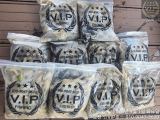 09월 02일 오천항VIP호 쭈꾸미&갑조황