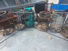 [진해] 돌문어주,야간퍽~퍽개인두자리마릿수호조황손맛짱!!!