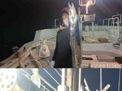 은빛나래피싱 대박입니다. 초저녁부터 폭발적인 소나기 입질에 시원한 도끼입질까지 생미끼에 대갈치 집중공략 성공