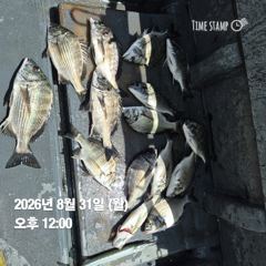 16시간전 [거제] (감성돔)4짜4짜 외 중치급들 오전반 소나기 HIT~가고파호(3일 예약)