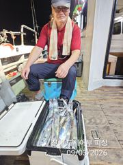 3일새벽 와~ 씨알큰 내만갈치 엄청 올라와요~!! 오늘 예약가능