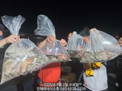 문어] 오늘 야간예약가능~ 3.11k 대물 어깨빠지고~오늘도 고고!!~