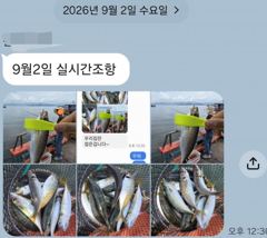 [마산] 마산 원전 선상낚시터 주간 고등어와 전갱이