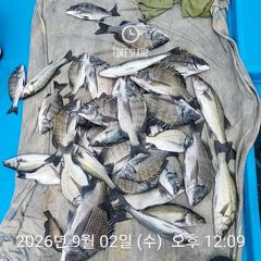 09.03 [공지] ★ 9월 금어기 안내