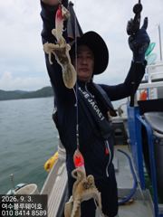 (南)남해조황 - #여수블루웨이호 주꾸미출조 대박조황!!!!!! 올립니다ㅡ