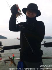 삼천포 쭈꾸미 세자리수조황 팍팍!!