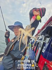 군산킹스타호(9/3)쭈꾸미 마무리조황 (9/8예약가능합니다~)