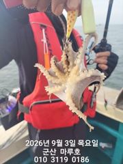 9월 3일 쭈꾸미 최종조항~~-☆