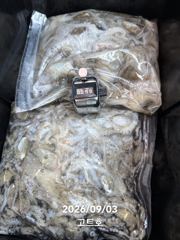 9월3일 고트호 조황