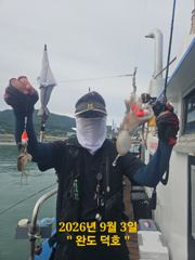 완도덕호 9.3 쭈꾸미