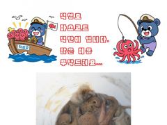 삼천포덕성호 돌문어 출조 예약 받습니다.(2026년 9월 03일 조황사항)