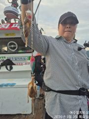 9월3일 여수주꾸미조황