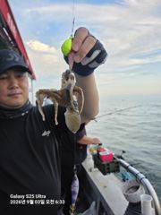 9월3일 아침에 느냐느냐 있었지요