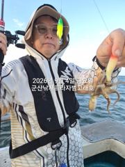 9/4일, 오늘도 나오고 있는 군산주꾸미~점점 좋아지는 쭈꾸미조황~군산 범고래호