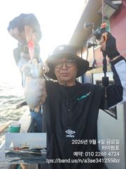 9/4일, 재미있는 군산주꾸미~ 나오고 있어요~점점 좋아지는 쭈꾸미조황~군산 하이원호