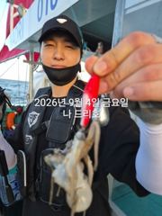 9/4일, 재미있는 군산주꾸미~ 오늘도 나오고 있어요~점점 좋아…