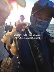9/4일, 오늘도 나오고 있는 군산주꾸미~점점 좋아지는 쭈꾸미조…